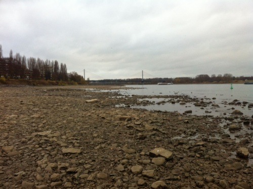rhein4
